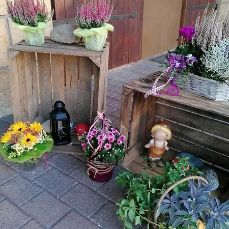 公寓 Fewo Eder Loft Studio Hemfurth-Edersee